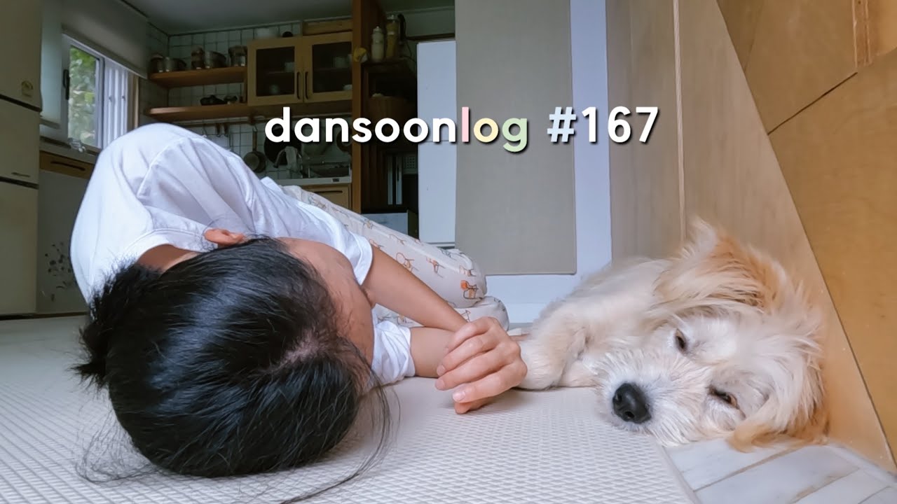 SUB 단순로그167 집밥 해 먹고 살림하고 산책하는 단순한 시골 일상 루틴 vlog