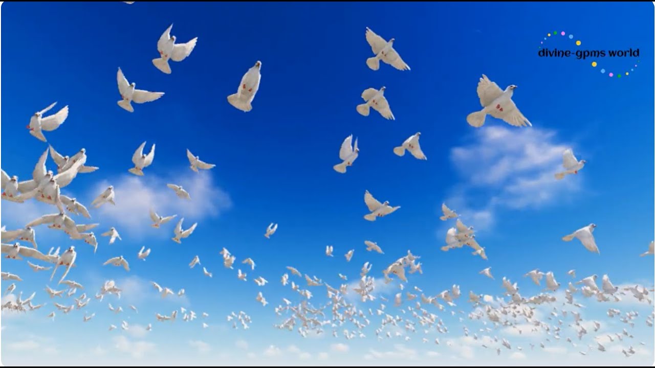 Creating Heaven on Earth, hand in hand, a new world is born