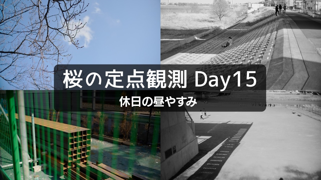 【桜Vlog】Day15：休日の穏やかな日常｜Waiting for Spring in Japan｜Walk POV