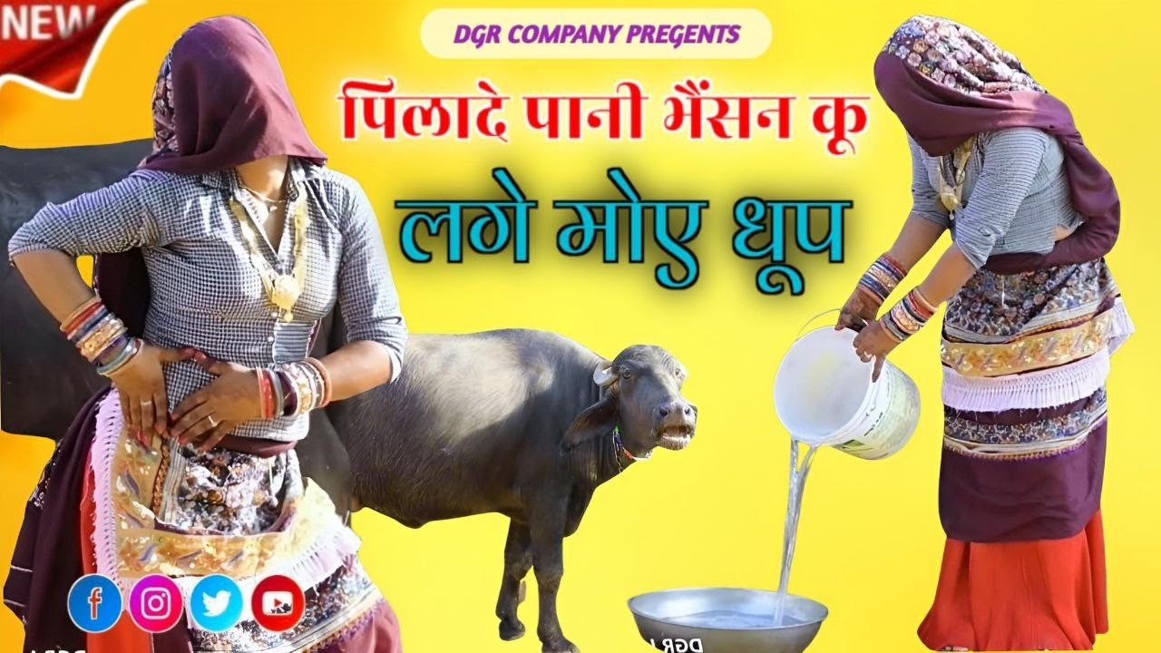 पिवादे पानी भैंसन कु लगे मोय धुप उठाके मारी पड़ा ने बलम बेकूब || Singer Satto Gurjar | Ladies Dance