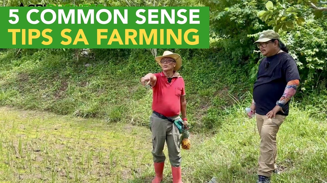 Common Sense lang ang Farming! 5 Tips to Prevent Farming Failures + Practical Irrigation sa Farm