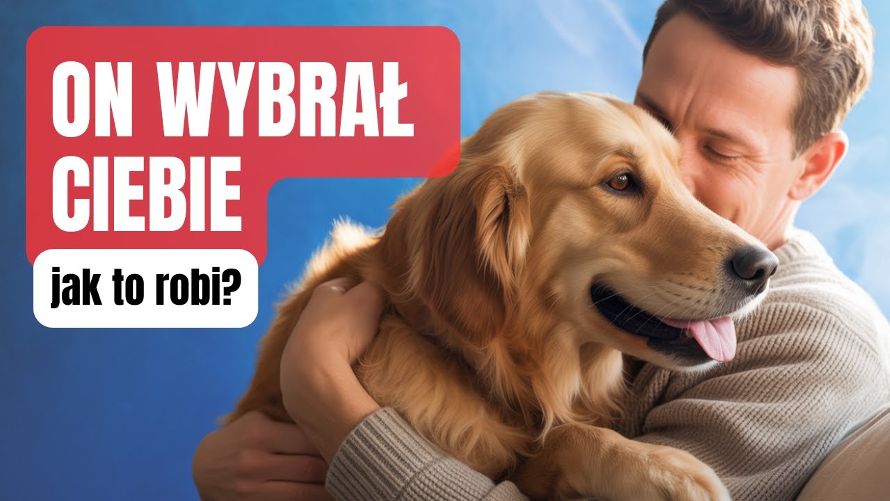 Jak pies wybiera swojego człowieka? Nauka o psiej więzi | na cztery łapy