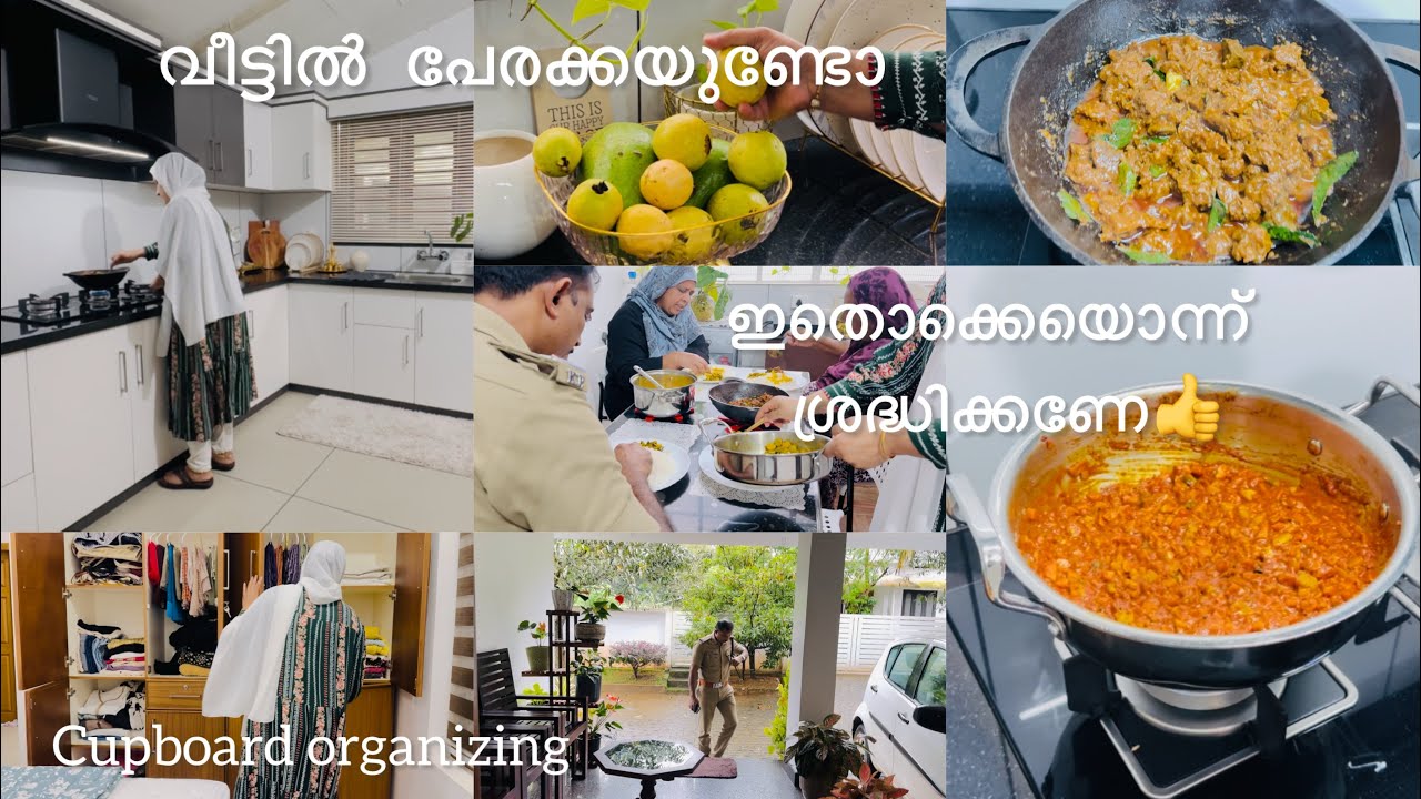 Productive day in my life/Beef fry/പേരക്ക അച്ചാറ്/Cleaning &Organizing