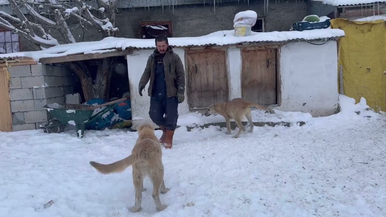 KARDA ZORLU GÜNLERİMİZ