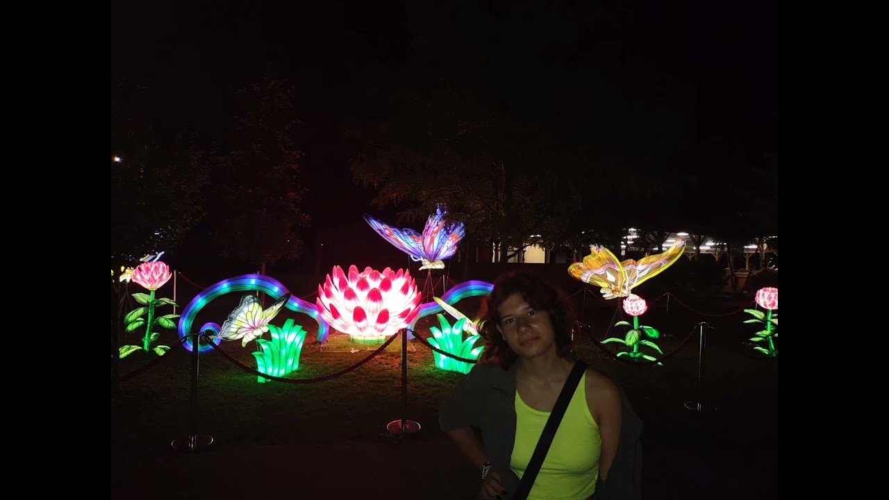 9 августа 2024 zoo light show 