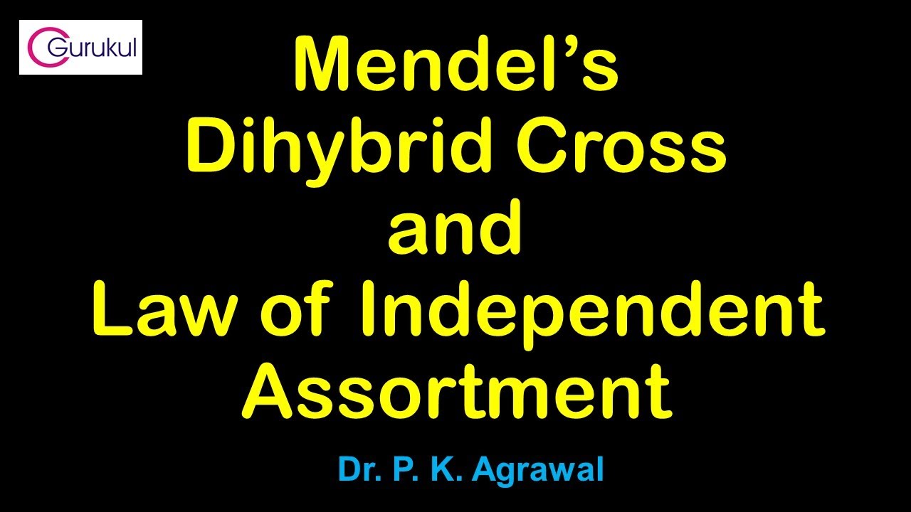 Mendel's Dihybrid Cross and Law of Independent Assortment