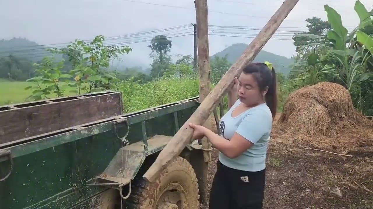 full video, agricultural vehicle transporting wood, my logging journey