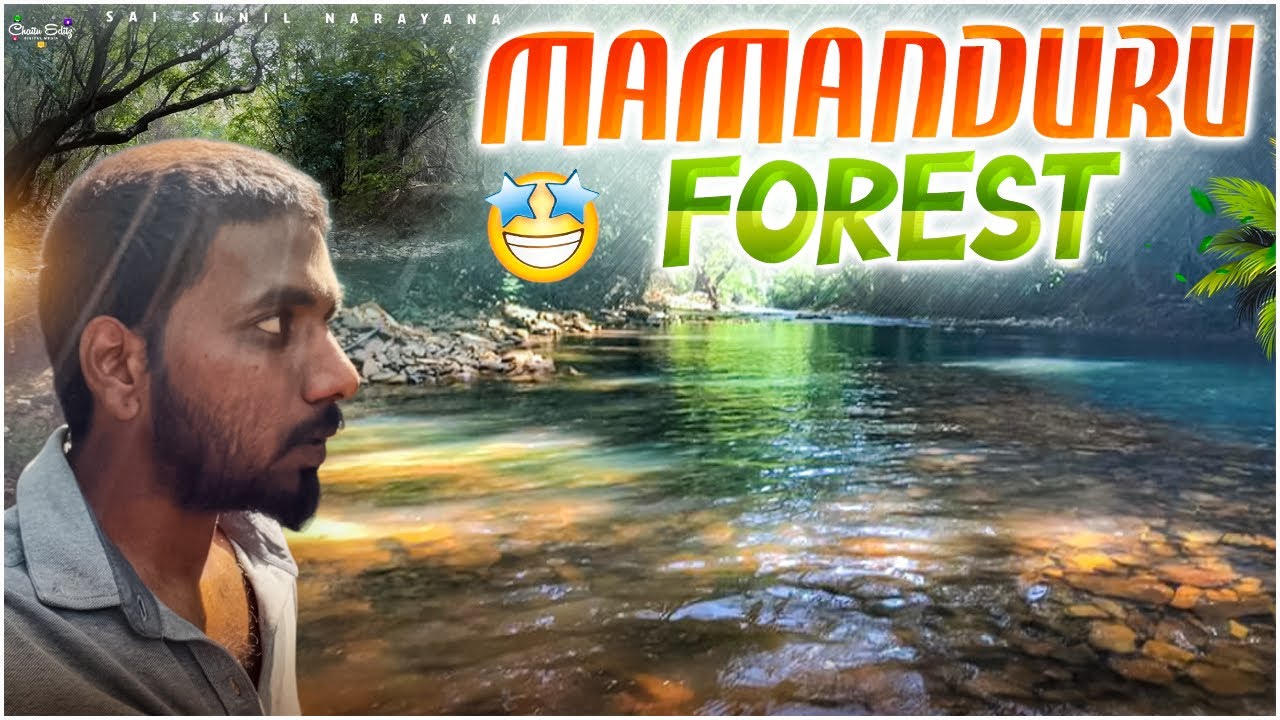Mamanduru Forest |Amazing Forest |seshachalam Forest |Tirupati | #forest #wildlife #water 