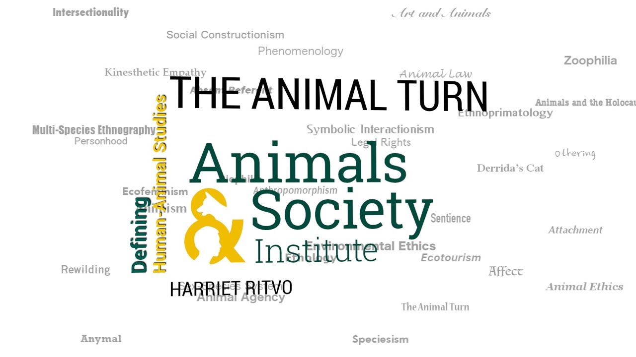 Defining The Animal Turn with Harriet Ritvo - ASI's Defining Human-Animal Studies 28
