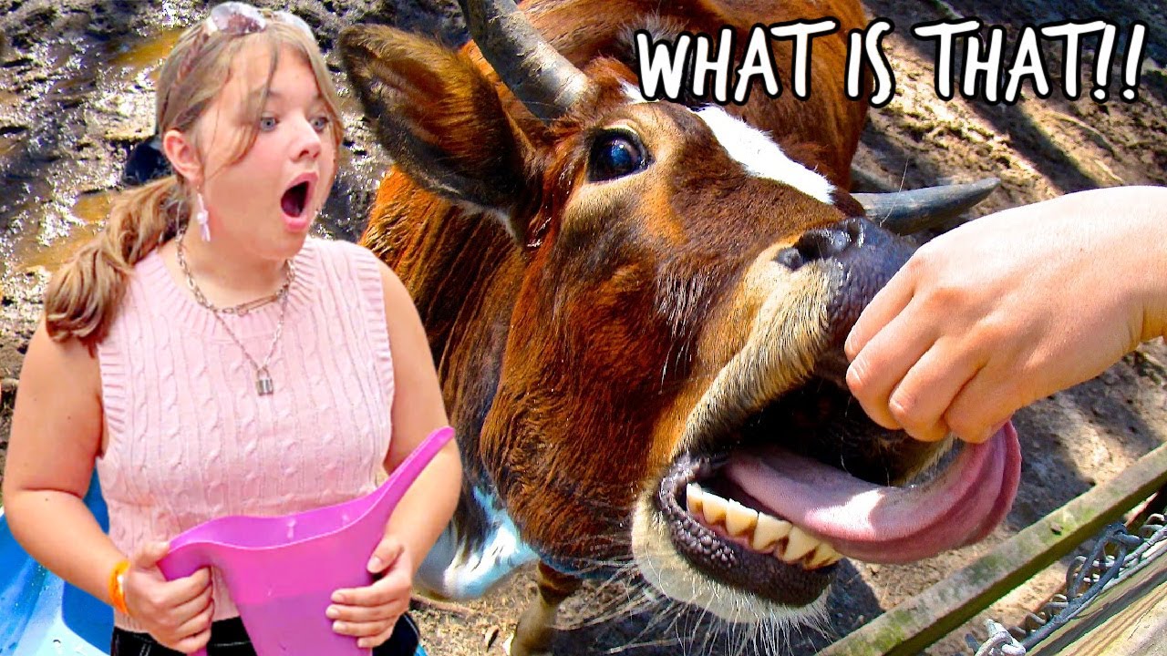 WHAT ANIMAL is THAT?!! Family FUN DAY Feeding ANIMALS at the BEST ANIMAL RESCUE PETTING ZOO