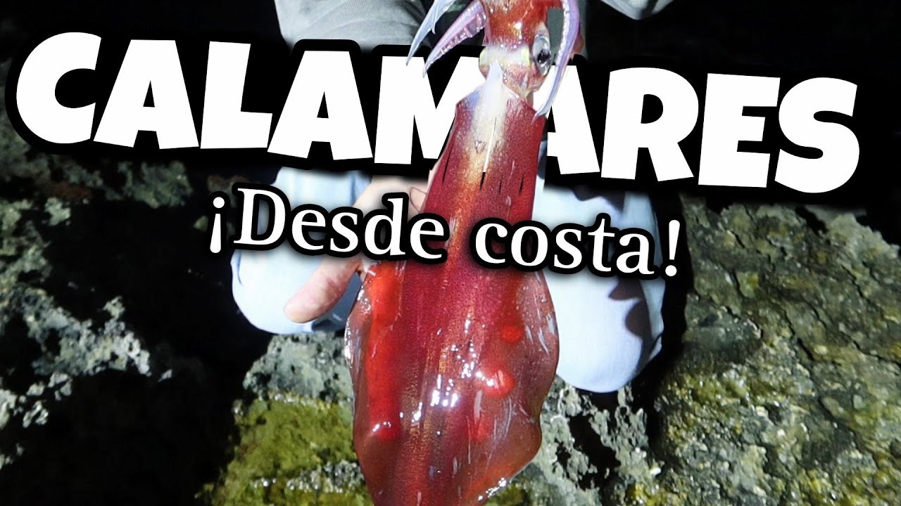 PESCA CALAMARES desde COSTA 🦑 ¡ESTE SEÑUELO NO LO TIENE NADIE!