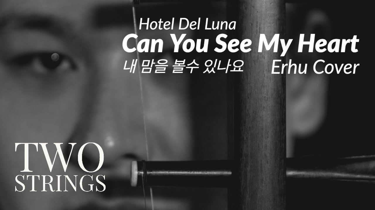 [2Strings二·胡] Josh's Erhu Cover: Can You See My Heart Hotel Del Luna (Heize) 韩国电视剧德鲁纳酒店主题曲  演奏者：周俊如