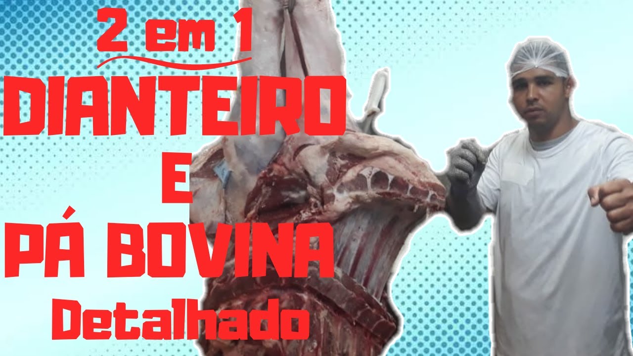 DIANTEIRO E PÁ BOVINA - Como desossar, detalhado