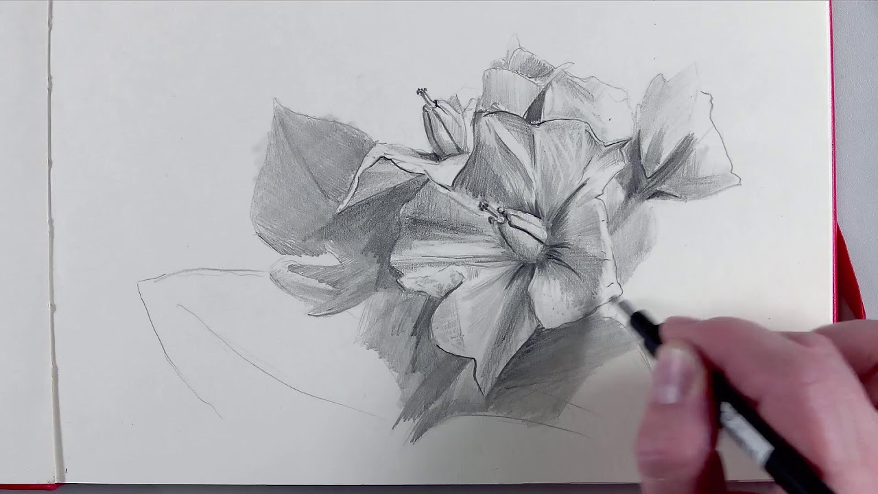 Relaxing Flower Drawing: Step-by-Step Fineliner Tutorial (No Talking)