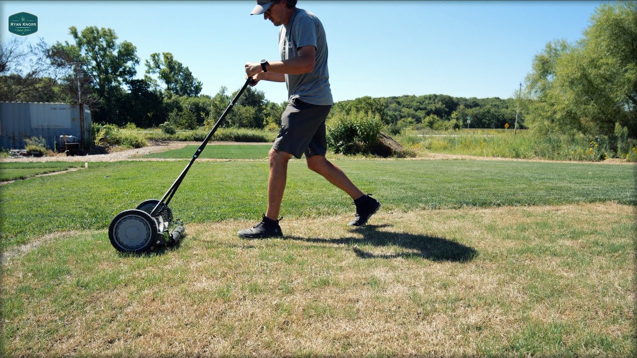 When To MOW/OVERSEED Newly Seeded Lawn