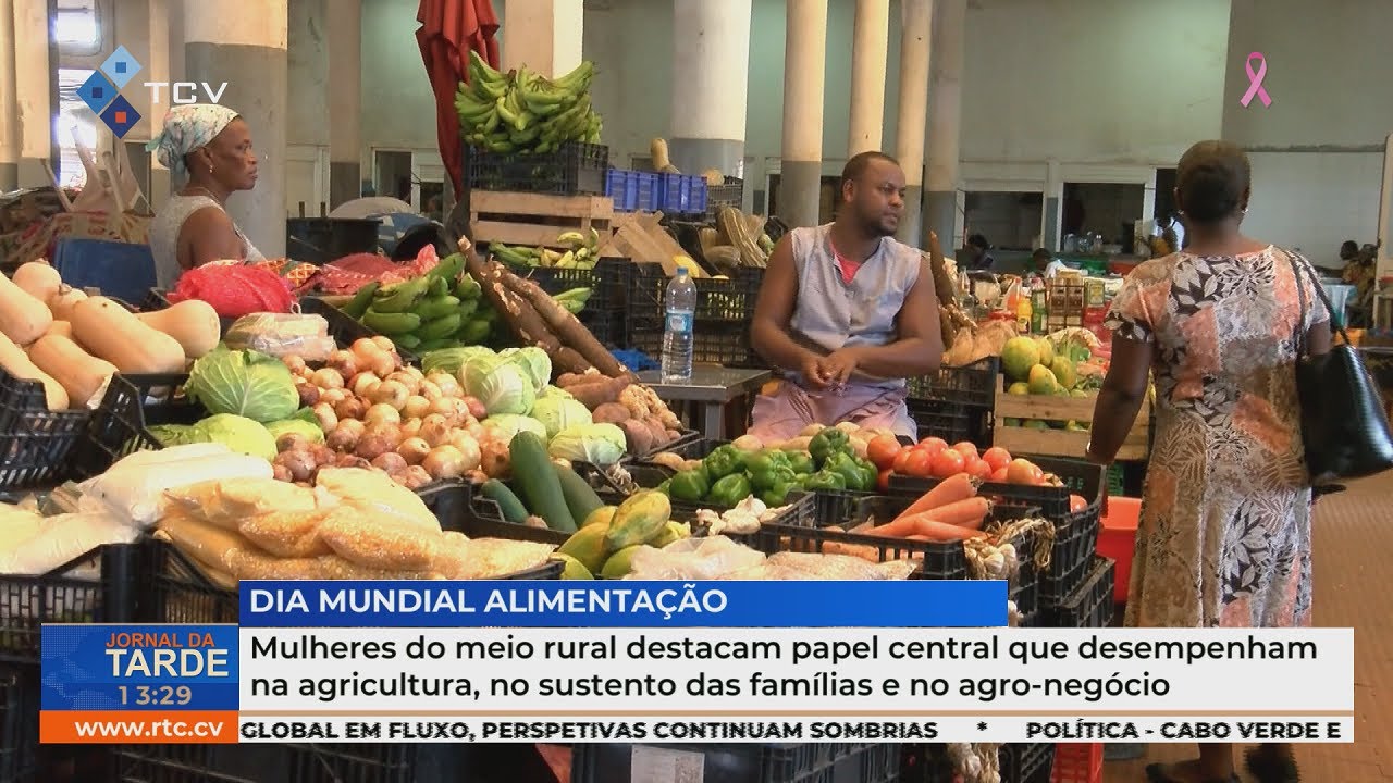 Mulheres rurais destacam papel central na agricultura, no sustento das famílias e no agro-negócio