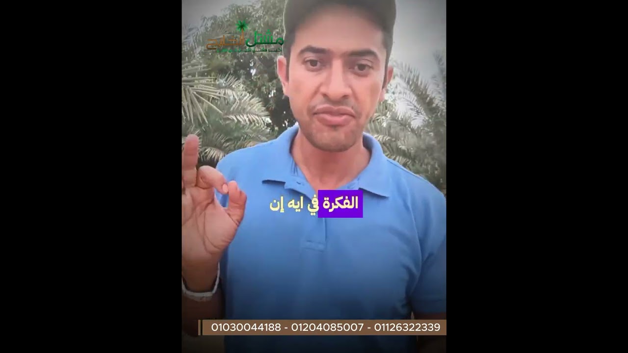 الخدمة الشتوية للنخيل 🌴 خطوات مهمة تضمن لك إنتاج قوي الموسم الجاي!