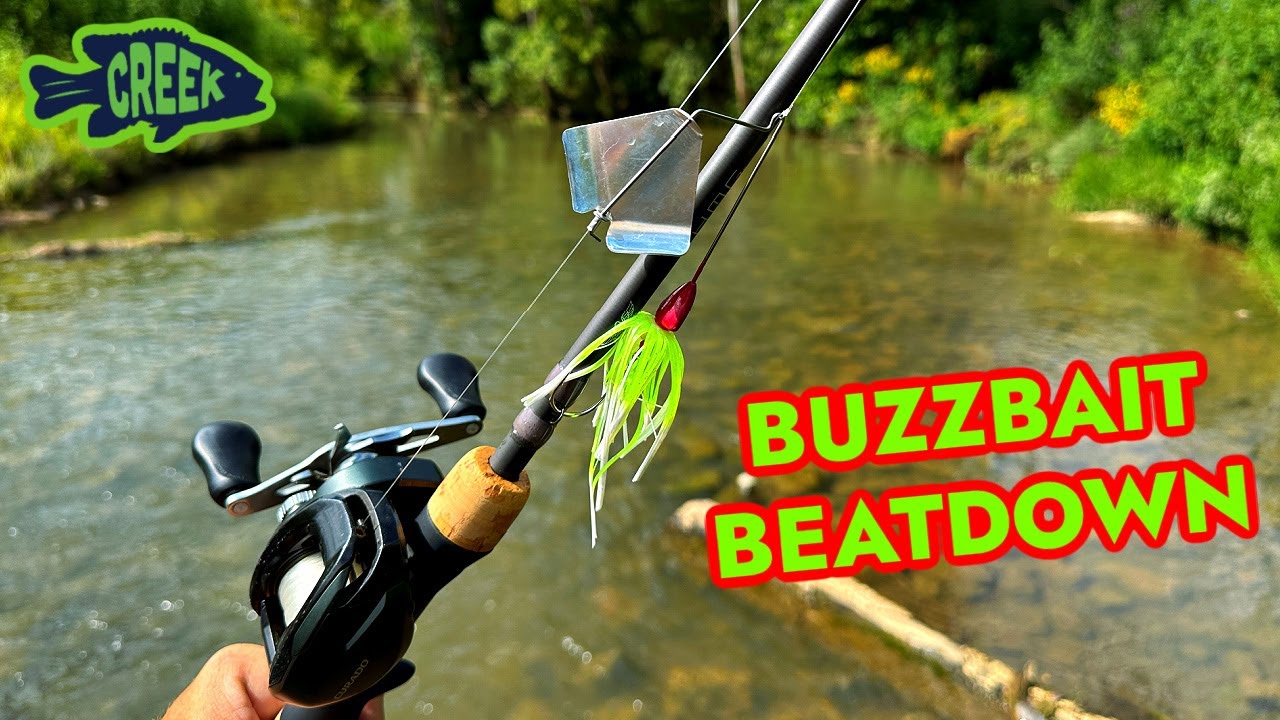 BUZZBAIT Topwater Creek Fishing Clinic!