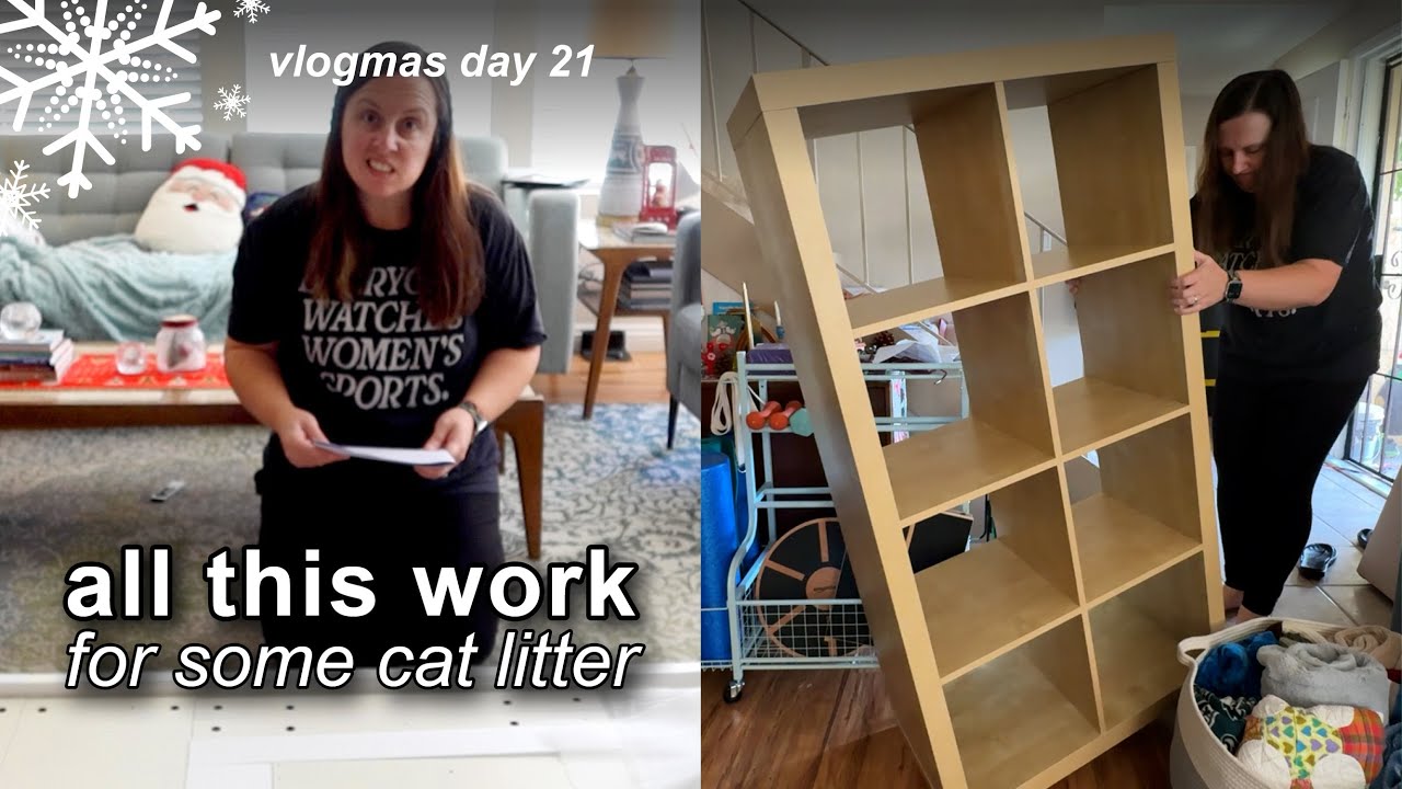 All This Chaos for Cat Litter: Building the Hidden Cabinet Disaster | Vlogmas 2025 Day 21