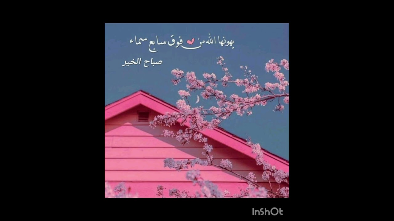 شراء سيارة جديدة بالاستغفار 