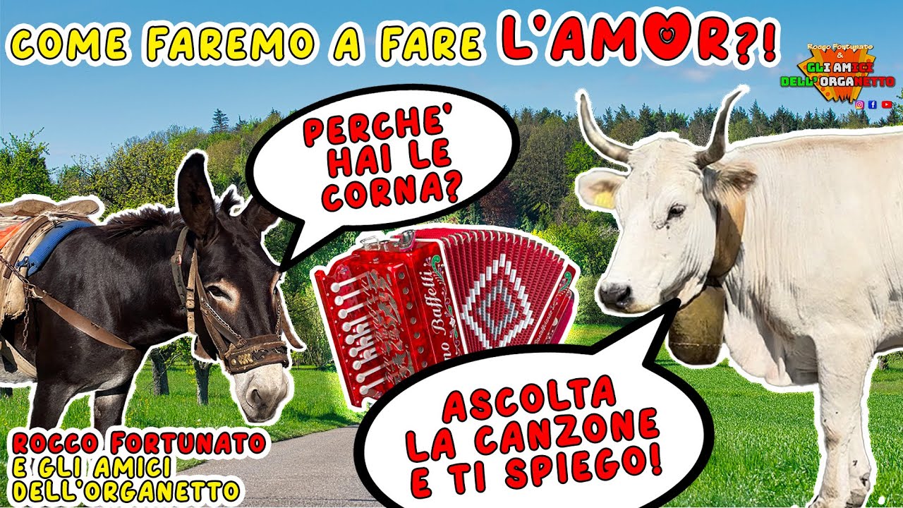 COME FAREMO A FARE L'AMOR?! - Rocco Fortunato e gli amici dell'organetto