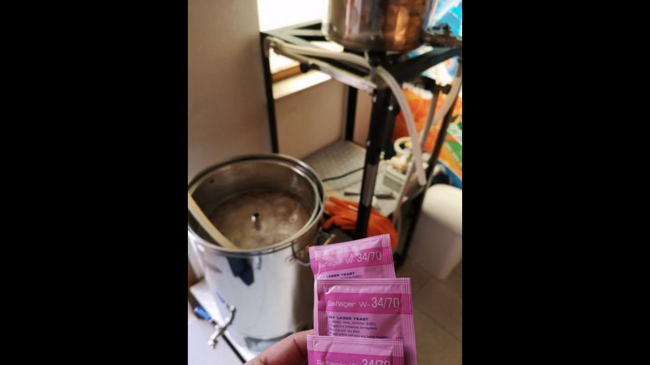 Pilsner in BIAP