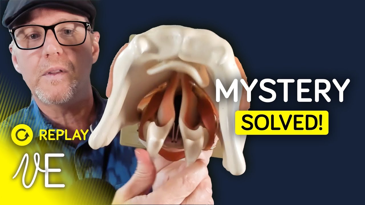 Раскройте тайну ложных голосовых связок! | #DrDan 🔁