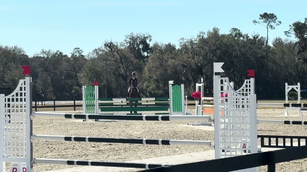 Kristen Rozycki & Zingara Rocking Horse Intermediate 2/26