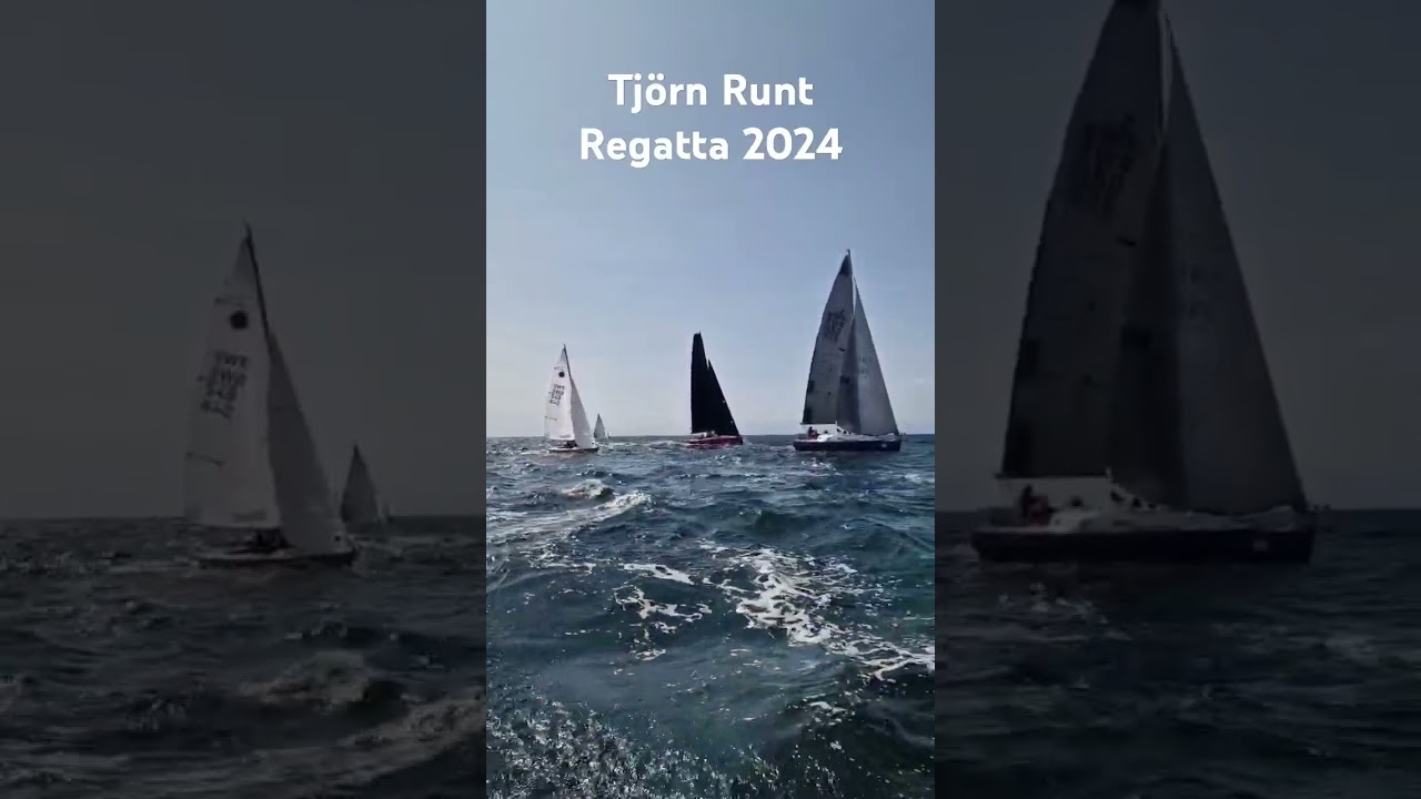 Regatta time ⛵️ 