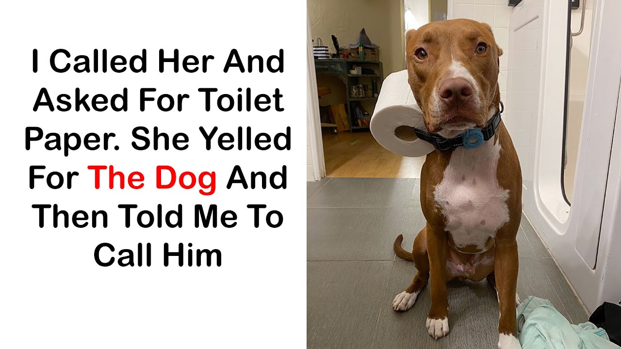 Hilarious Wives and Girlfriends Who Never Fail to Make You Laugh