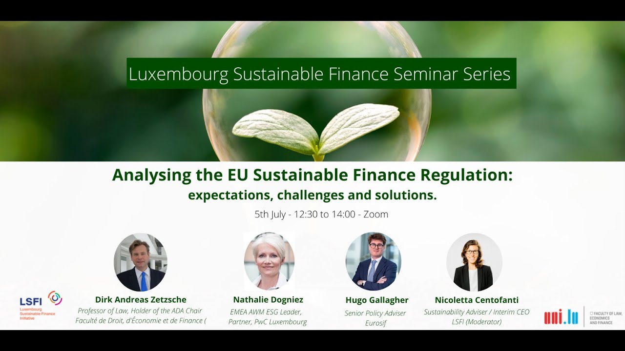 Analysing the EU Sustainable Finance Regulation: expectations, challenges and solutions