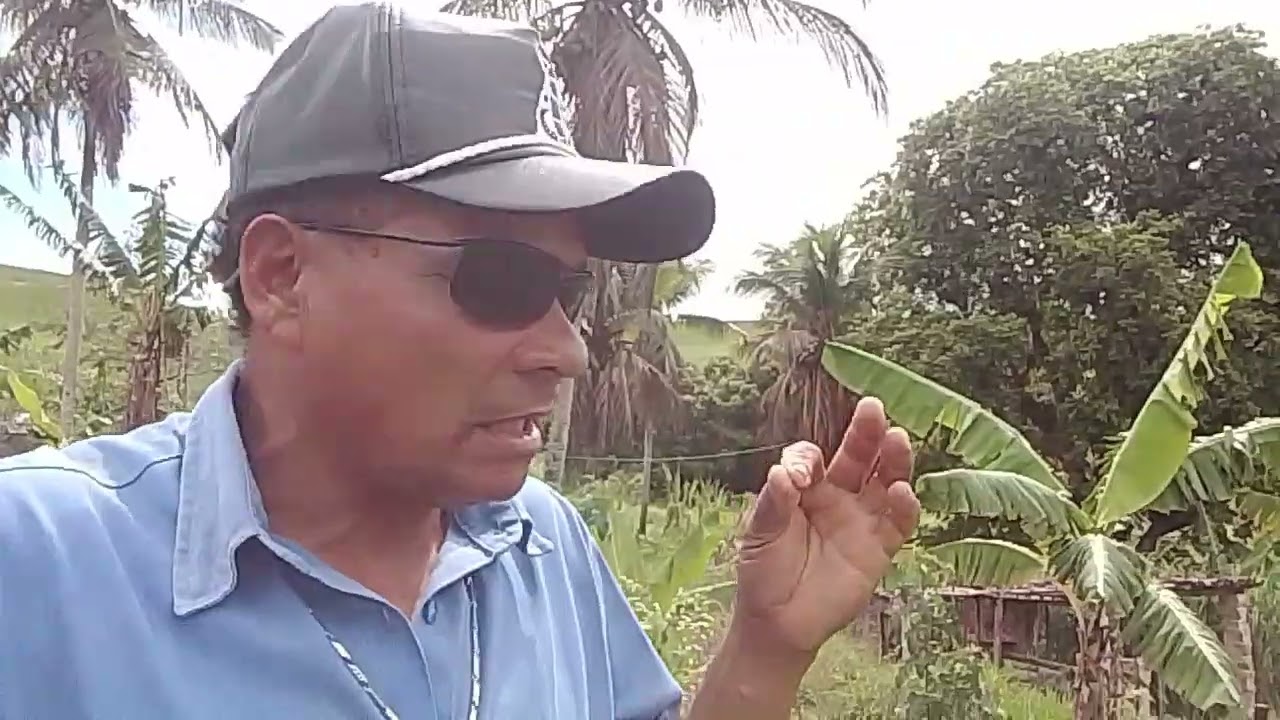 CANAL CICERO PRANCHETA DIRETO DÁ FAZENDA BREJO DA USINA SANTA MARIA PORTO CARVO 17 02 26 👏