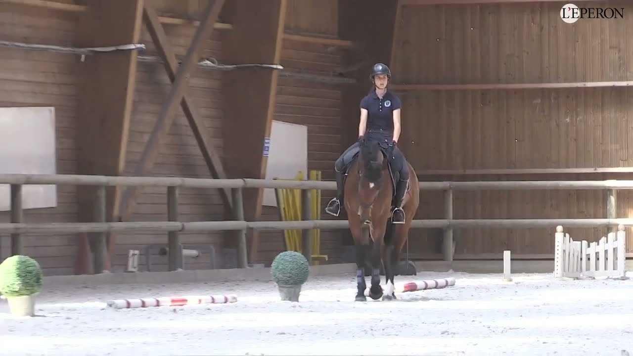 En pratique avec Ugo Provasi #4  | Dérouler sa reprise de dressage