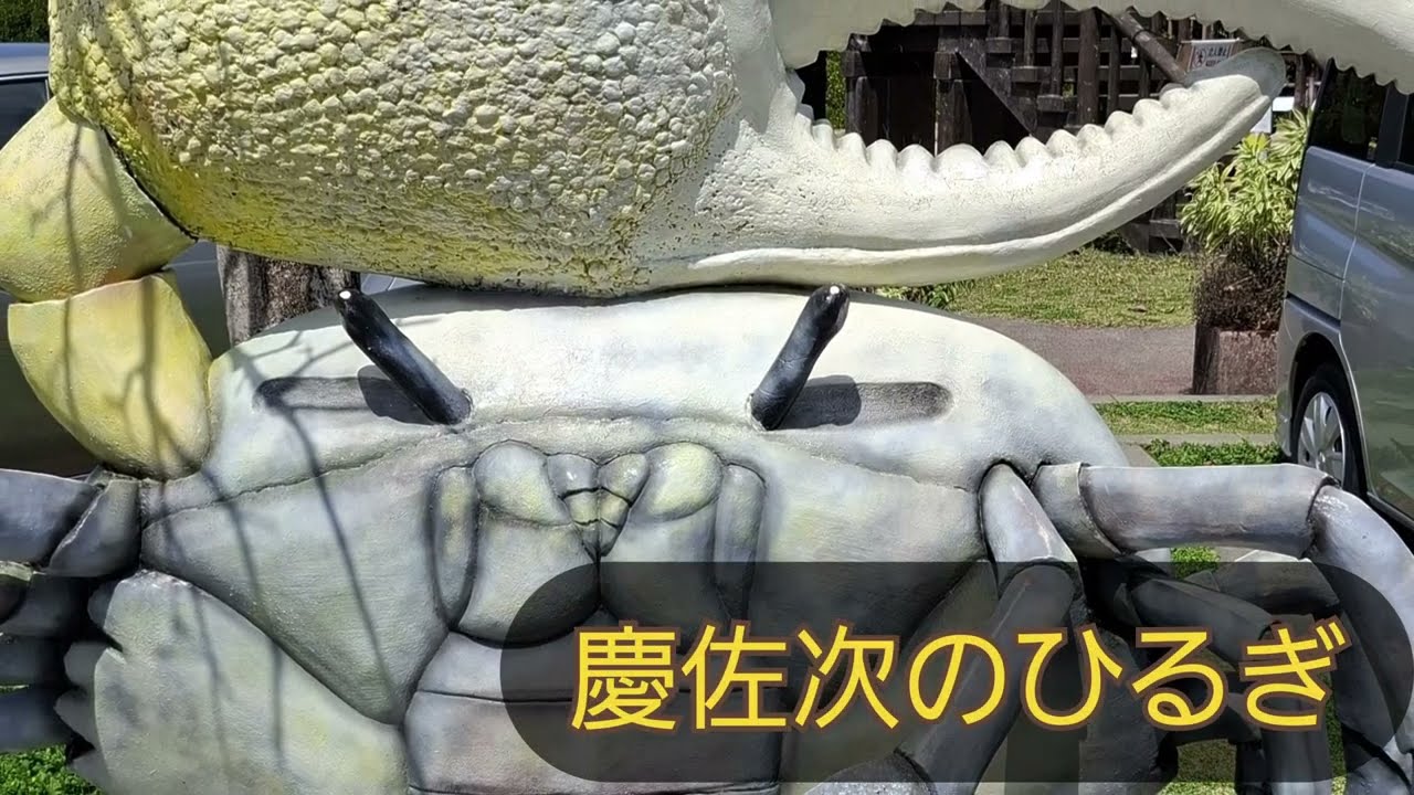 慶佐次(げさし)のひるぎを見てきました(散歩動画です🕺歩くだけ。)