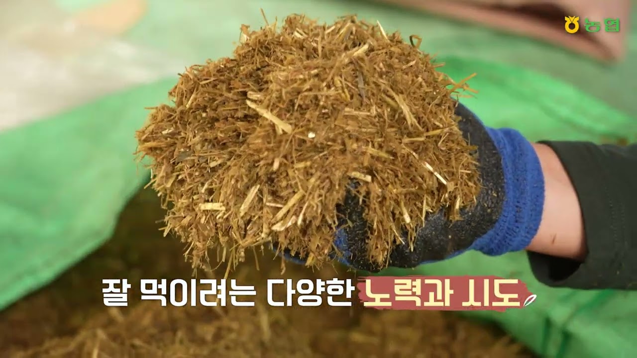 2023 제6회 청정축산환경대상 최우수상  현대농장충남 예산