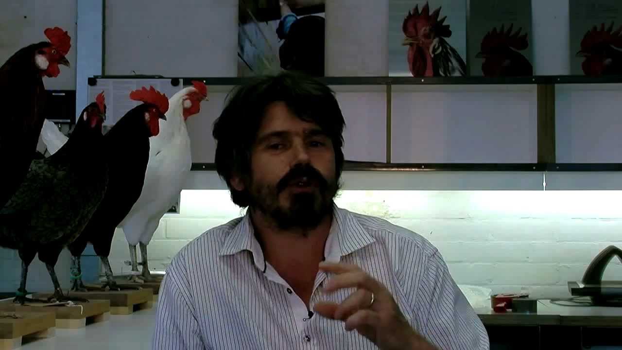 Interview met Koen Vanmechelen - cultuureducatie vanuit praktijkervaring