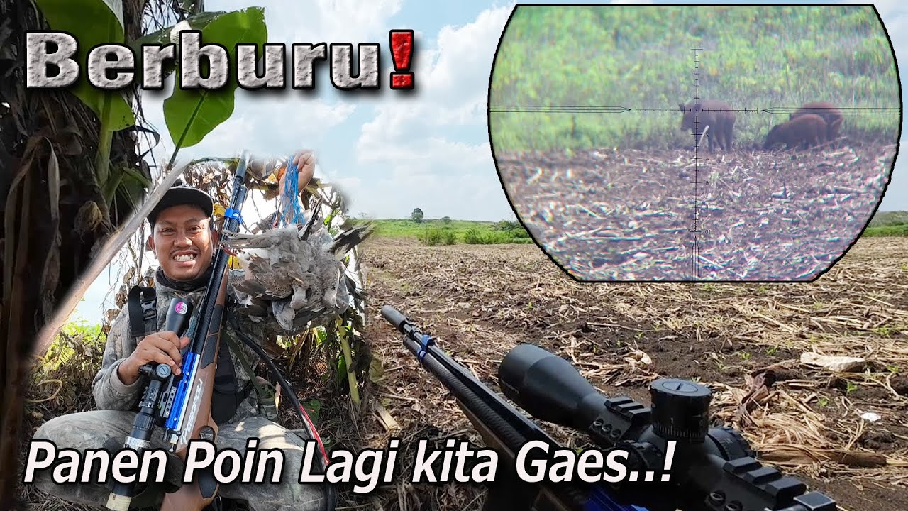 Panen Poin Bareng Pasopati Small Game Milik Mas Farhan di Gresik Jawa Timur💯🎯‼️