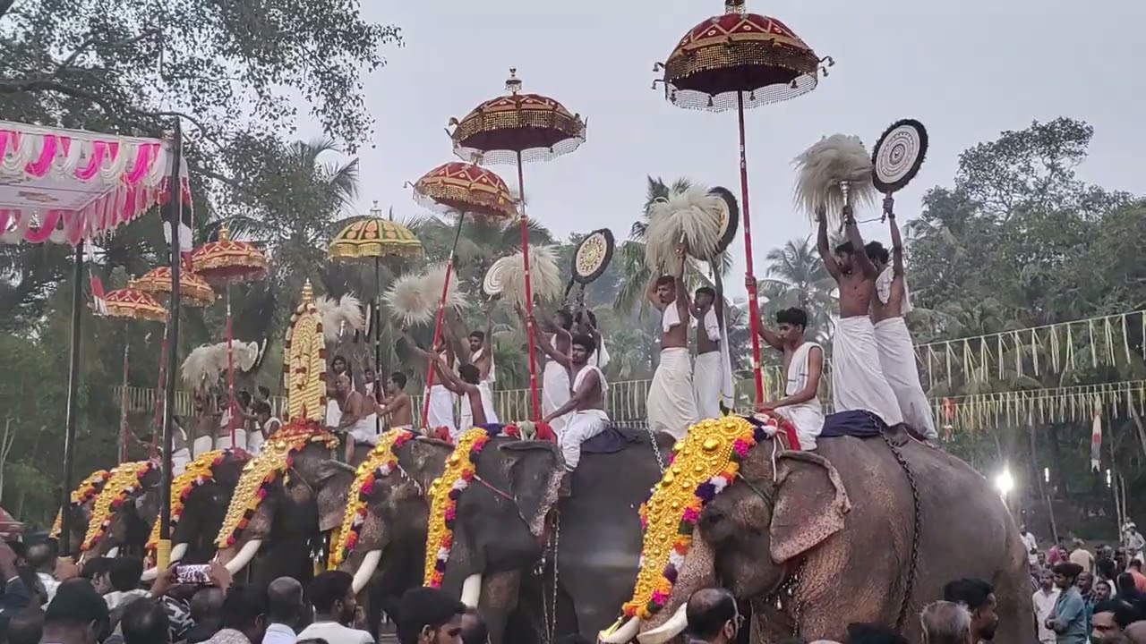 Aarikiry pooram 2026 Nattika