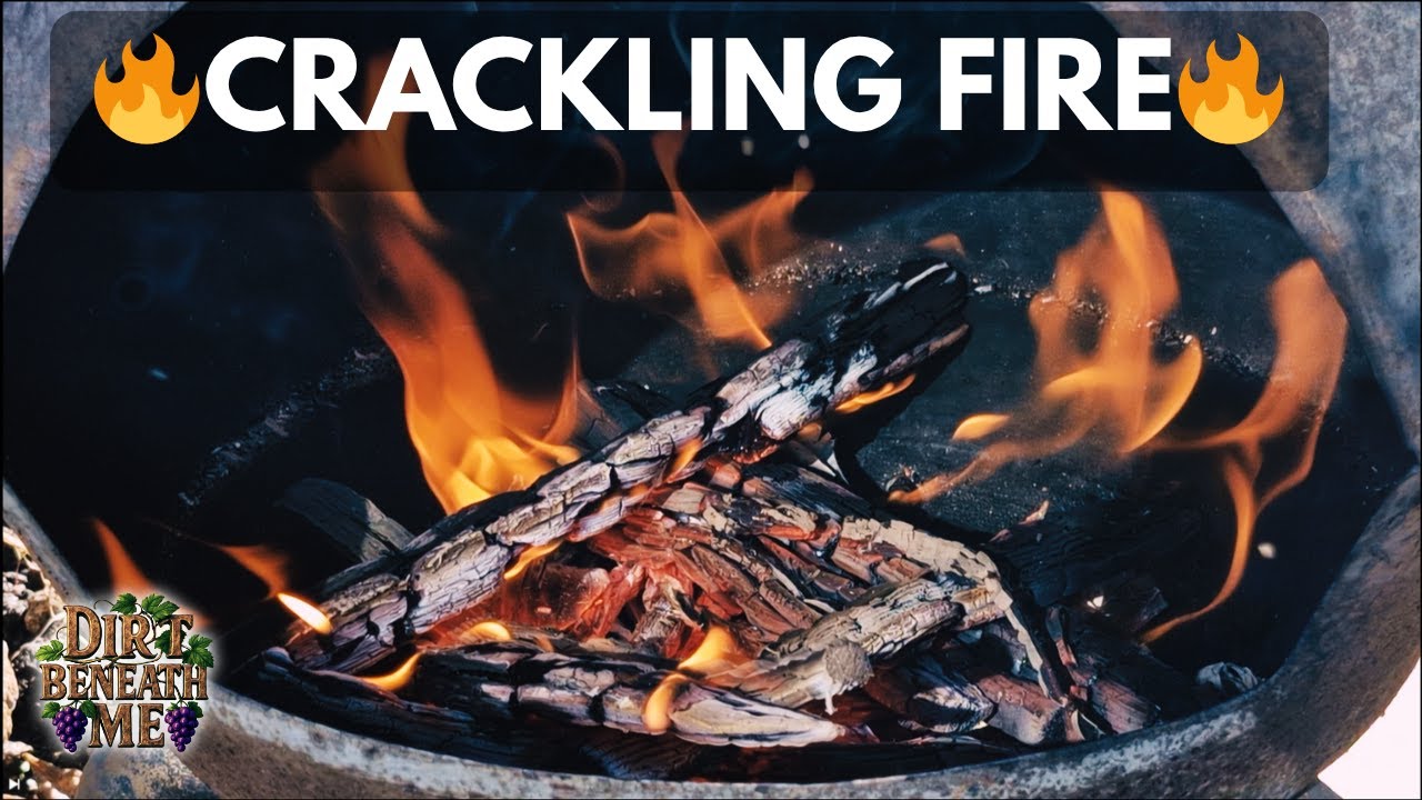 3 Hours of Crackling Fire Ambience 🔥 | Relaxing Fireplace Sounds for Sleep & Study