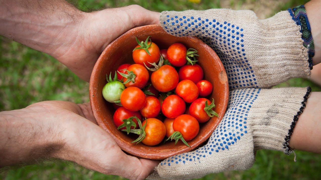 Transforming Food Systems