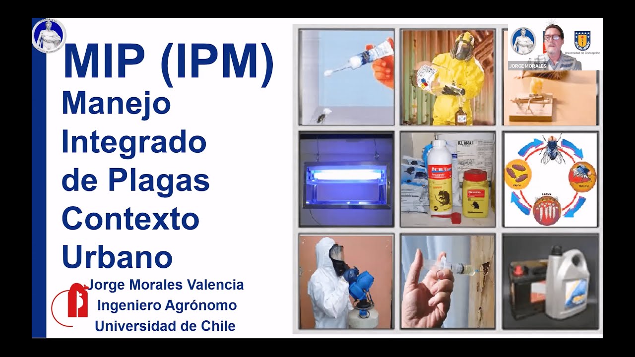 MIP: Manejo Integrado de Plagas en Contexto Urbano | APECS
