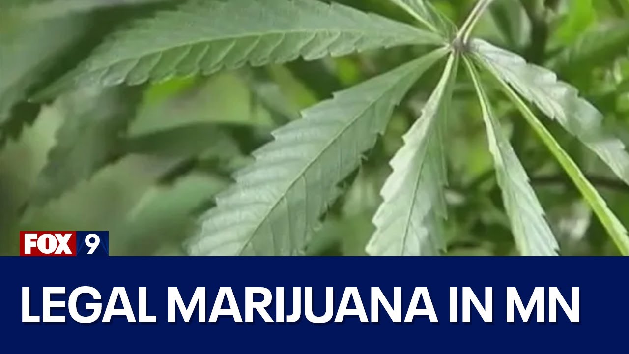 Breaking down legal marijuana in Minnesota