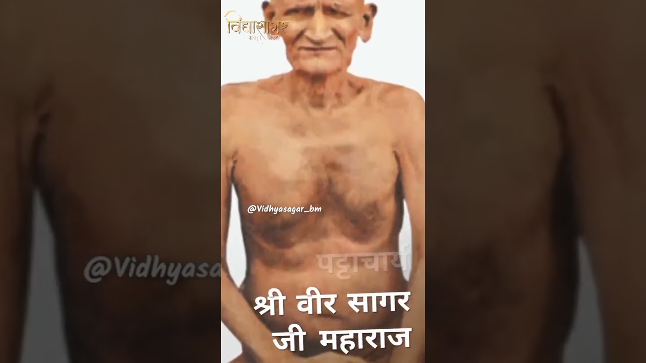 आचार्य परम्परा🙏😍 #jainstatus #jainism #jainitihas