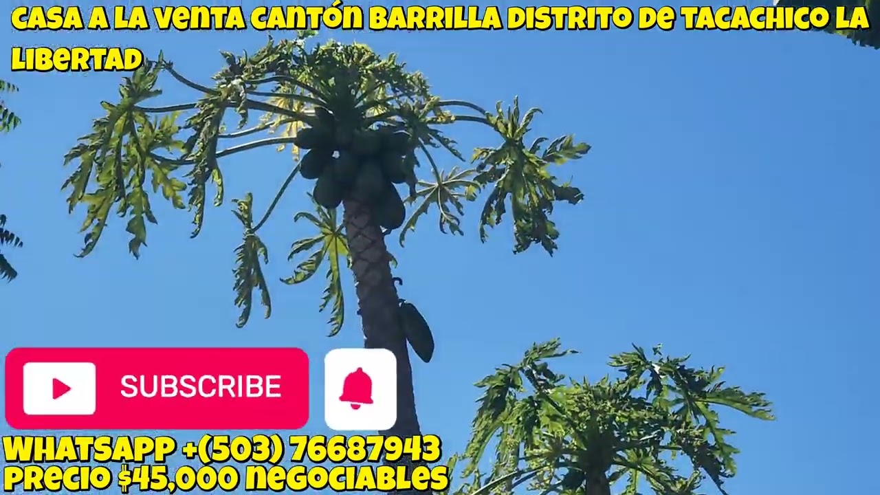 Se vende bonita casa 🏡  cantón barrilla distrito de tacachico departamento de la libertad 