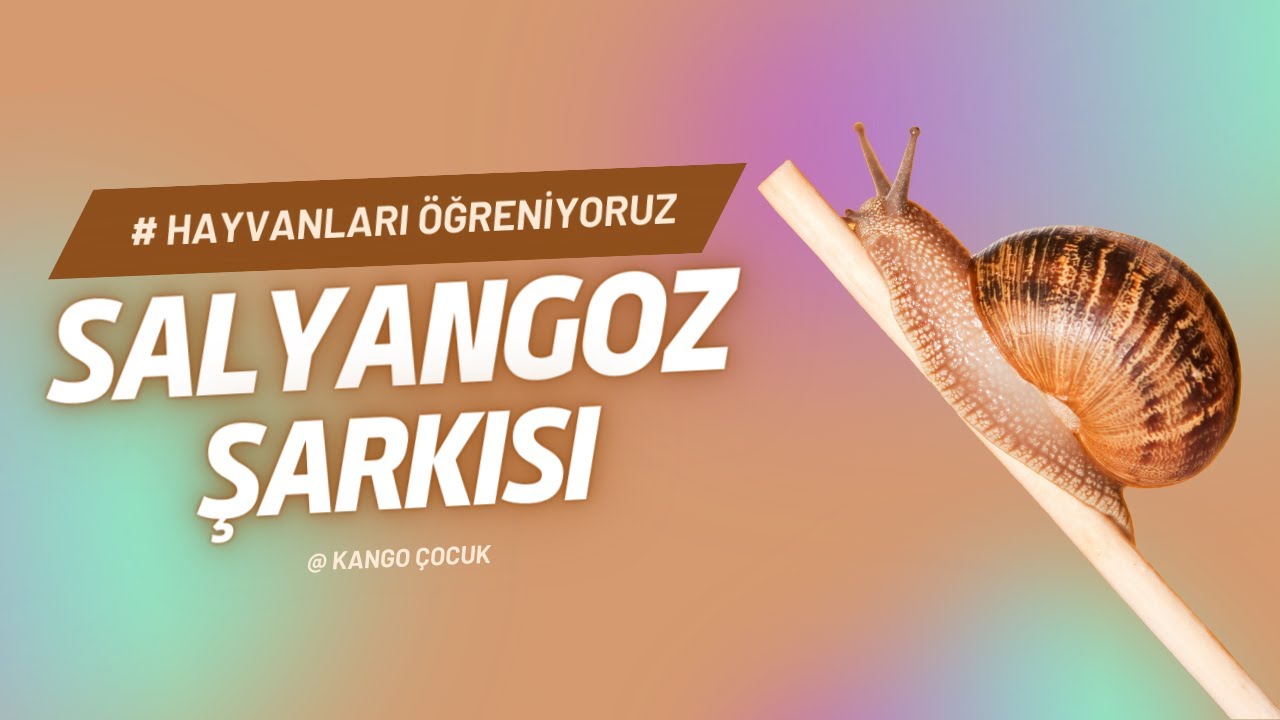 🎵 Hayvanları Tanıyalım: Çocuklar İçin Eğlenceli ve Öğretici Salyangoz Şarkısı 🐌 | Kango Çocuk