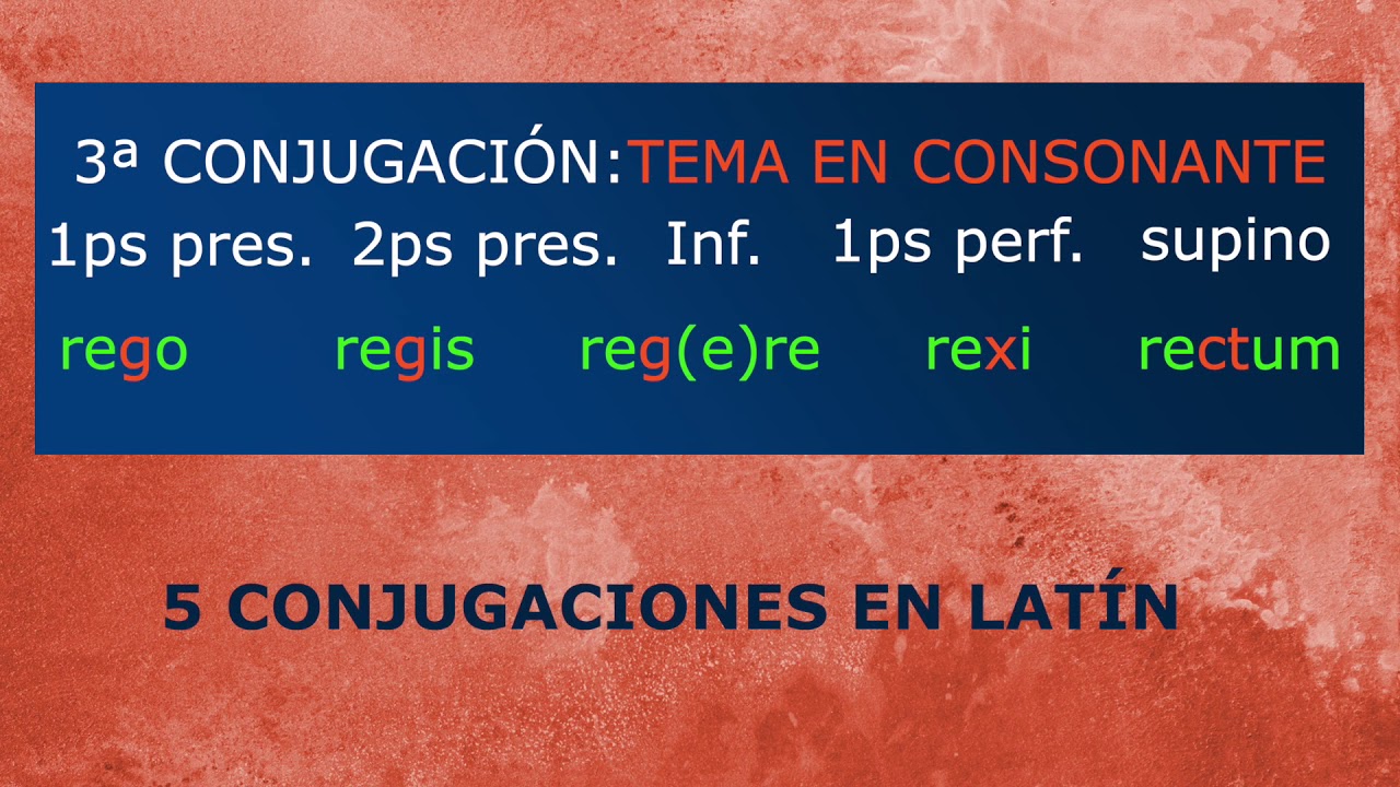 LOS VERBOS EN LATÍN I