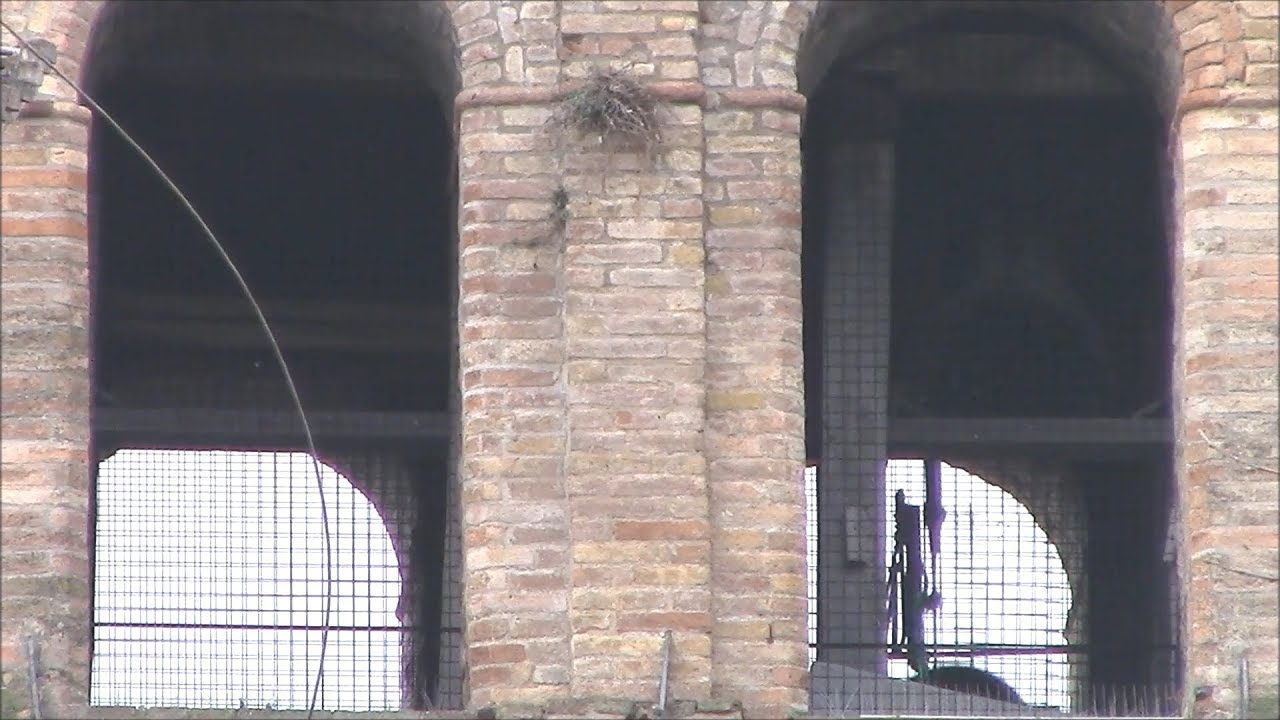 Campane della Chiesa di S.Francesco in Bevagna (PG) v.590