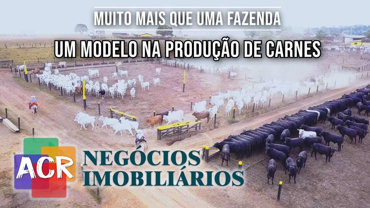 Mais que uma Fazenda, Um modelo na produção de carnes em Juara MT.