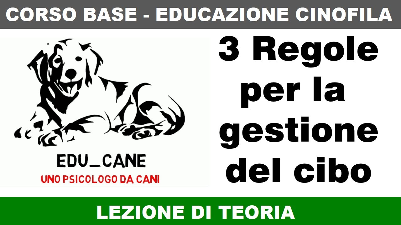 3 Regole per la gestione del cibo nell'educazione del cane