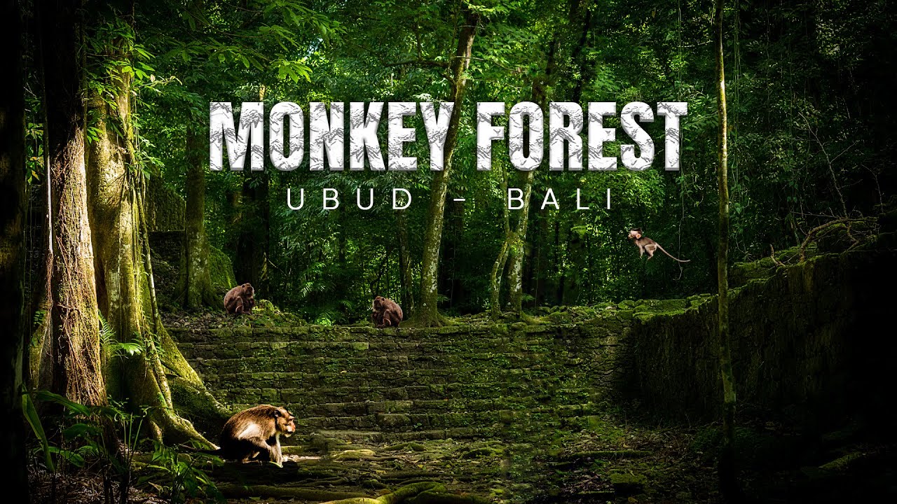 MONKEY FOREST UBUD - Bali | English Subtitle